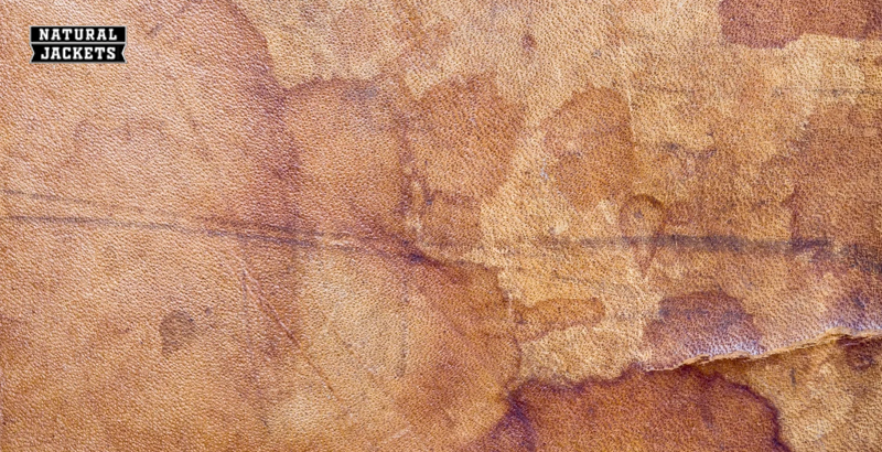 How-to-Protect-Leather-from-Water-Damage