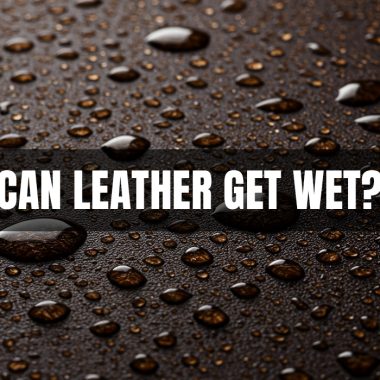 From Mink to Coconut: Which is the Best Oil for Leather? 